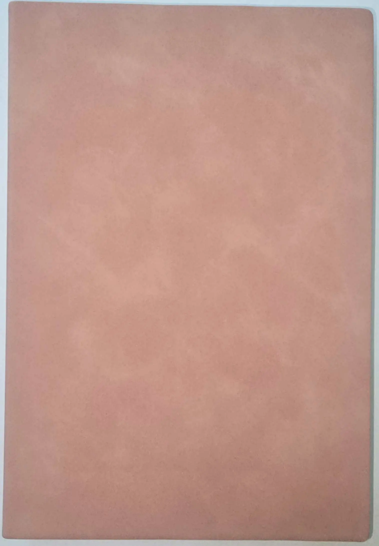 Apricot Notebook